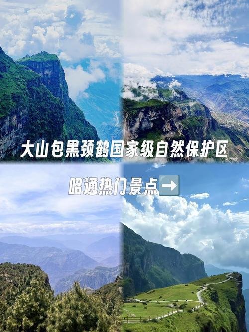 标题：🐦大山包黑颈鹤保护区・中国黑颈鹤之乡✨高原秘境 + 云海鹤舞
