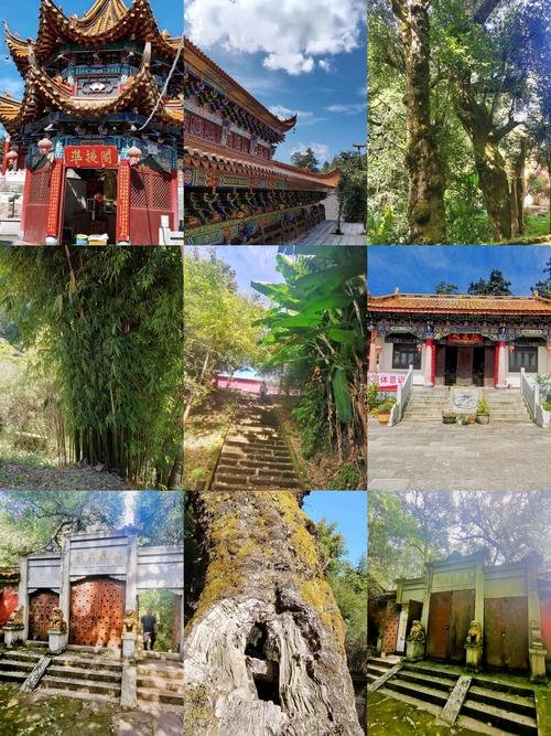 🌿紫溪山紫顶寺｜千年古寺✨禅意静谧 + 茶花环绕
