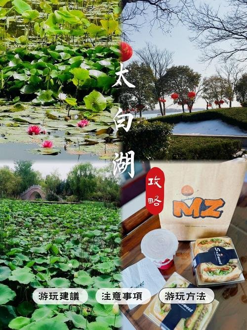 🚤太白湖游船休闲体验｜湖面泛舟浪漫打卡✨城市湖景新视角