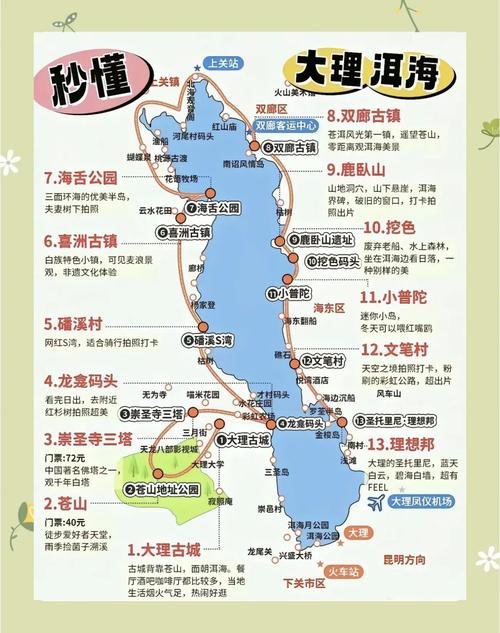 大理洱海挖色码头小众秘境🌤️洱海边治愈小渔村｜海鸥 + 水上礁石超出片