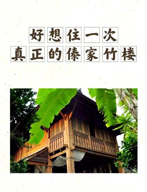🌊傣族园竹楼民宿｜傣家风情 + 田园风光✨慢生活体验