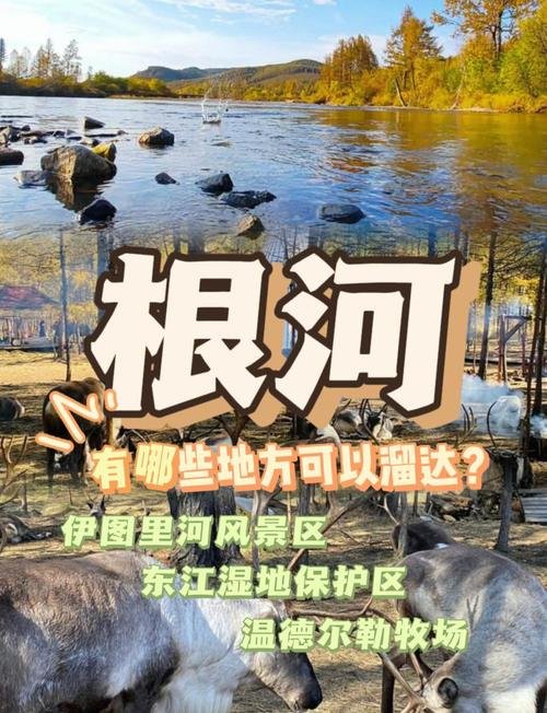 🌲根河湿地・亚洲湿地核心✨原始湿地 + 森林交融