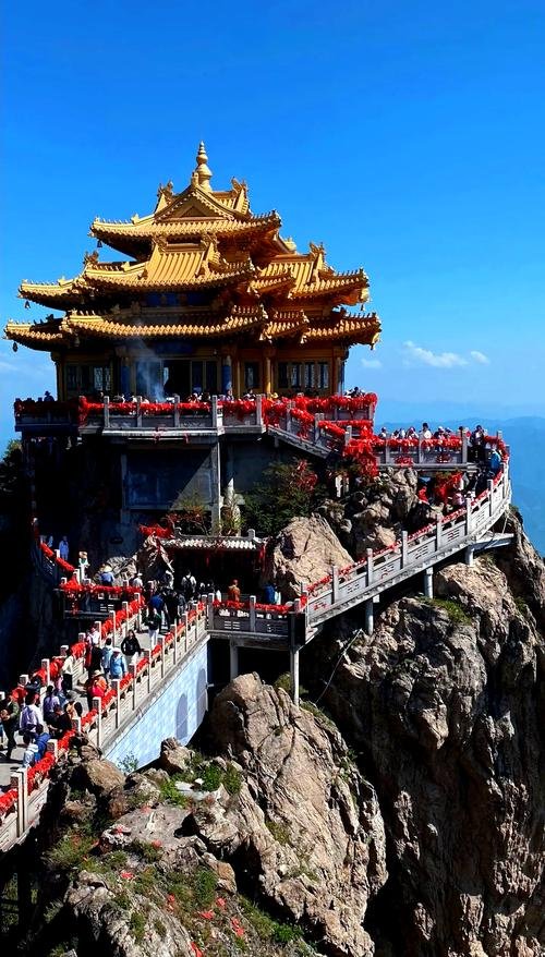 🏞️老君山・北回归线绿野仙踪✨原始森林 + 杜鹃花海