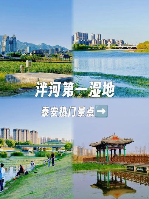 🌿泮河公园｜城市滨水绿廊✨免费休闲散步夜景打卡
