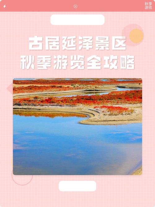 🌊古居延泽・湿地湖泊✨额济纳小众 + 候鸟云集