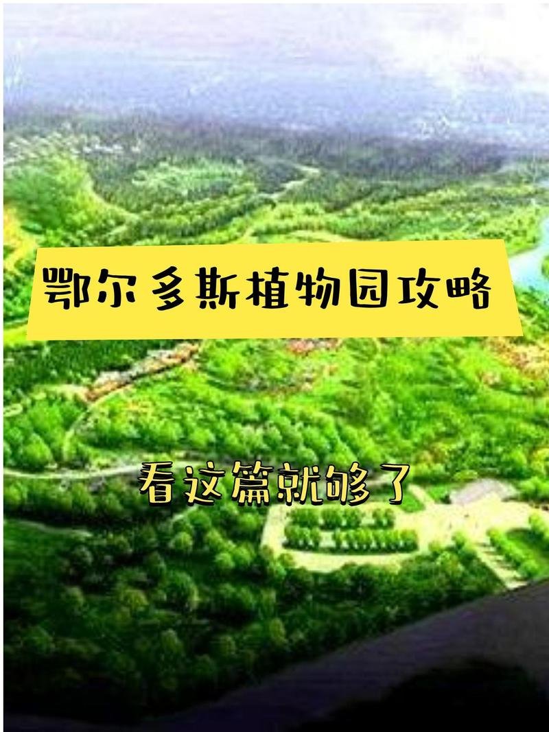 🎡鄂尔多斯植物园・城市花海秘境✨云端栈道 + 玻璃漂流