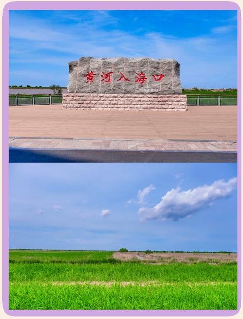 🌊黄河入海口生态旅游区｜黄蓝交汇湿地秘境✨候鸟观赏天花板