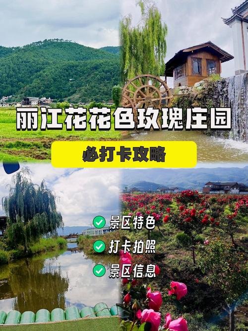 💐玫瑰庄园｜雪山脚下万亩玫瑰园｜浪漫法式花海💖