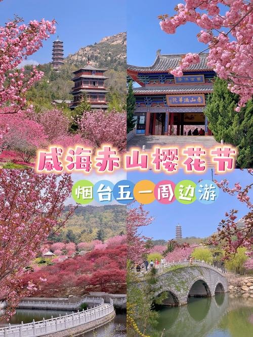🌸赤山景区｜万亩樱花 + 山海禅意✨森林氧吧 + 古寺