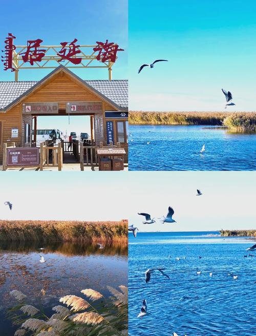 🌊居延海・大漠明珠✨湿地秘境 + 日出封神