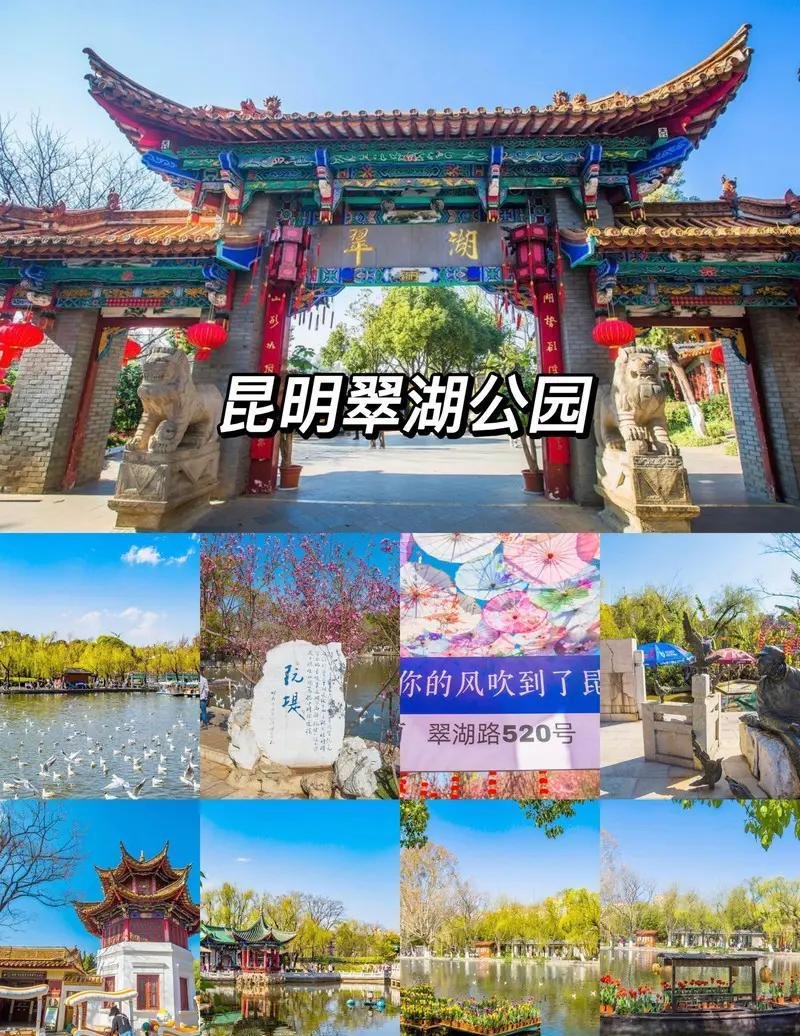 翠湖公园💚市中心免费绿宝石🍃老昆明遛弯圣地｜逛园顺路狂炫地道小吃