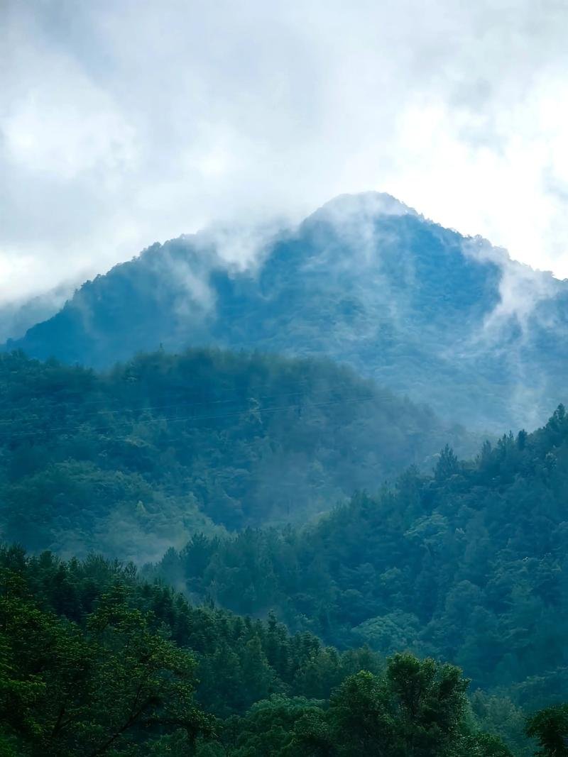 ⛰️三爪仑国家森林公园（靖安）｜原始森林溪流氧吧✨夏日避暑轻徒步