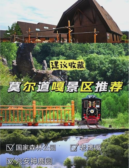 🌲莫尔道嘎国家森林公园・大兴安岭秘境✨森林小火车 + 原始林海