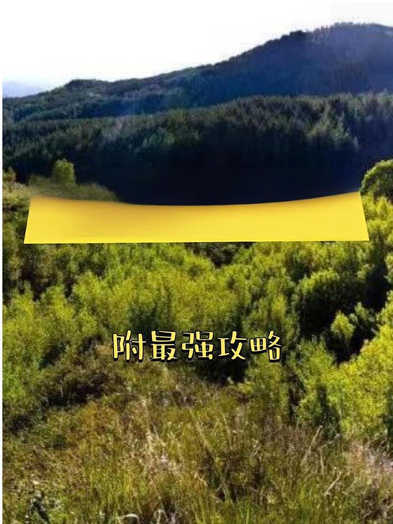 🌳二龙什台国家森林公园・北方小香山✨森林氧吧 + 层林尽染