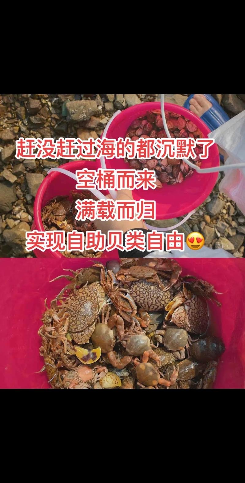 🌊赶海园拾贝区｜亲子赶海乐园✨浅滩拾贝 + 趣味互动