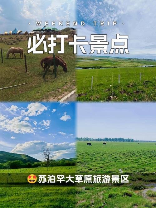🌿伊金霍洛旗苏泊罕大草原・游牧风情秘境✨草原部落 + 骑马射箭