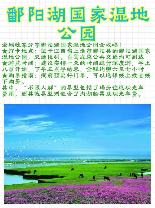 🌊鄱阳湖国家湿地公园（鄱阳片区）｜候鸟王国湖滩秘境✨观鸟胜地