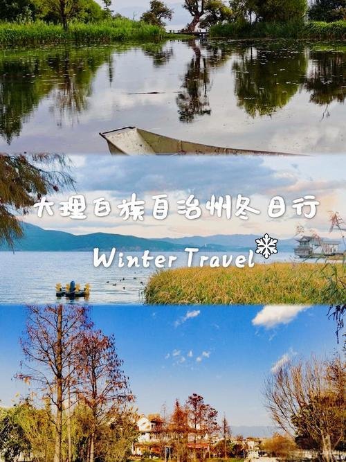 才村湿地公园🌾🌿环湖芦苇花海，本地人散步遛弯秘境