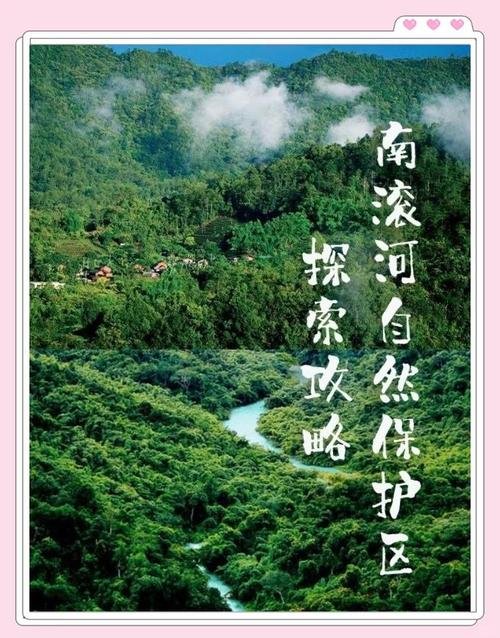 🏕️沧源南滚河自然保护区｜世界级生态秘境｜寻访珍稀野生动植物