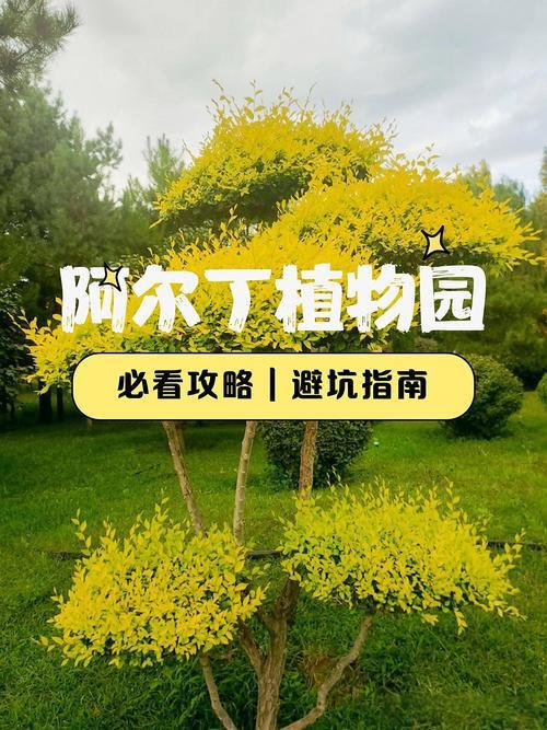 🌳包头植物园・城市绿肺✨珍稀植物 + 温室花海