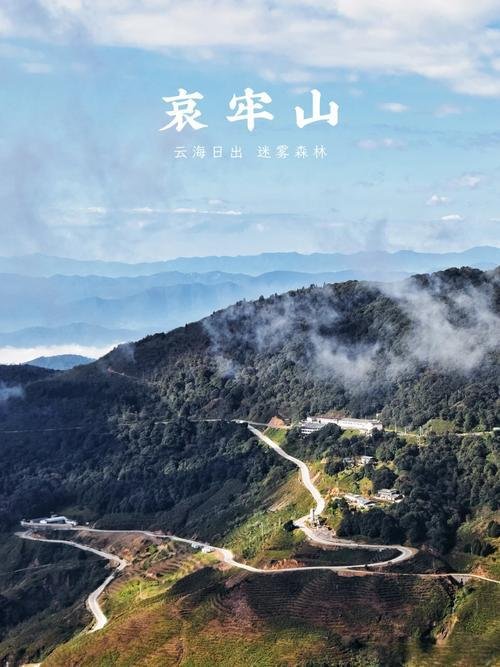 🌿哀牢山国家级自然保护区｜原始森林秘境✨徒步探险 + 珍稀动植物