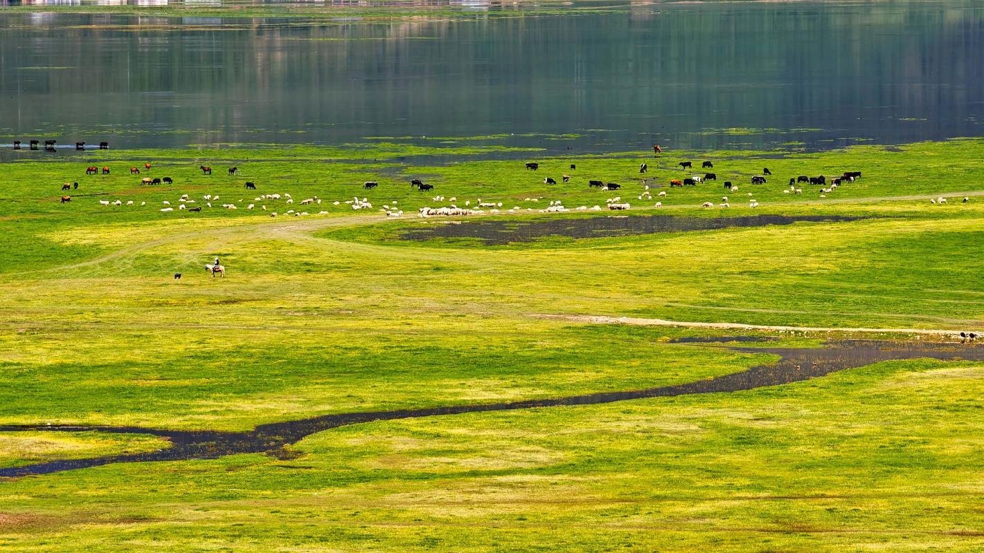 🐎纳帕海・依拉草原｜季节性神仙湿地｜环湖自驾封神🌾