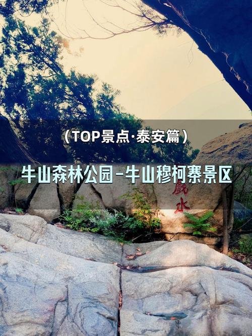 ⛰️牛山国家森林公园（肥城）｜山林古刹清幽秘境✨祈福轻徒步