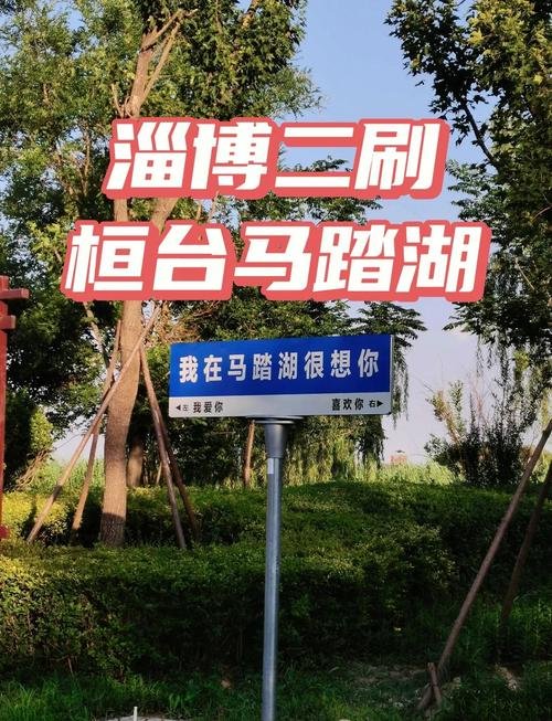 🌊马踏湖｜北国水乡✨芦苇荡 + 水上人家