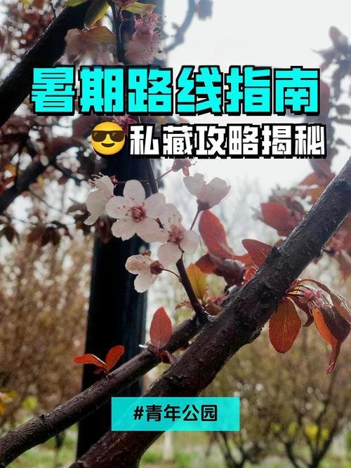 🌱青年公园｜霍比特人小屋✨治愈角落 + 野餐打卡