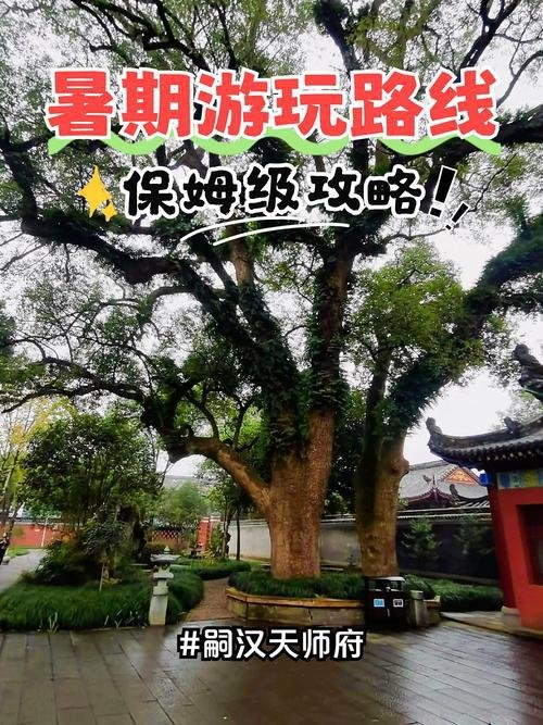 🏯嗣汉天师府｜南国无双道家府邸✨千年天师人文研学圣地