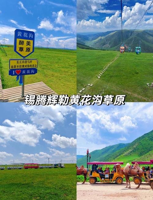 花沟草原・高山草甸 + 花海瀑布✨乌兰察布避暑胜地