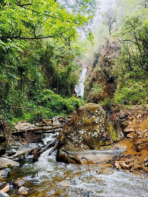 🌲五老山国家森林公园｜临翔城郊天然氧吧｜五座仙峰藏瀑布💦