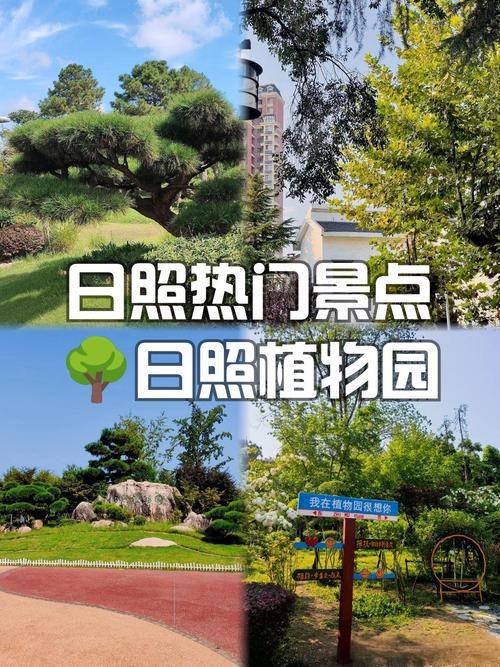 🌳日照植物园｜城市绿肺✨四季花海 + 休闲游园