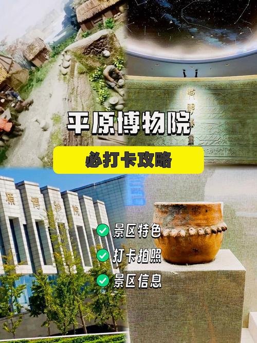 🏛️平原县博物馆｜乡土文史宝库✨免费预约人文研学