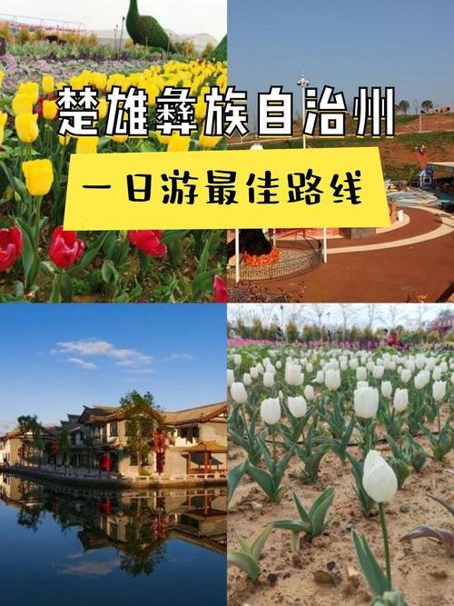 🌼东华湿地公园｜小众湿地秘境✨芦苇花海 + 候鸟栖息超治愈
