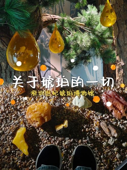 💎腾冲琥珀博物馆｜东方琥珀科普馆｜亿年琥珀收藏秘境🪨
