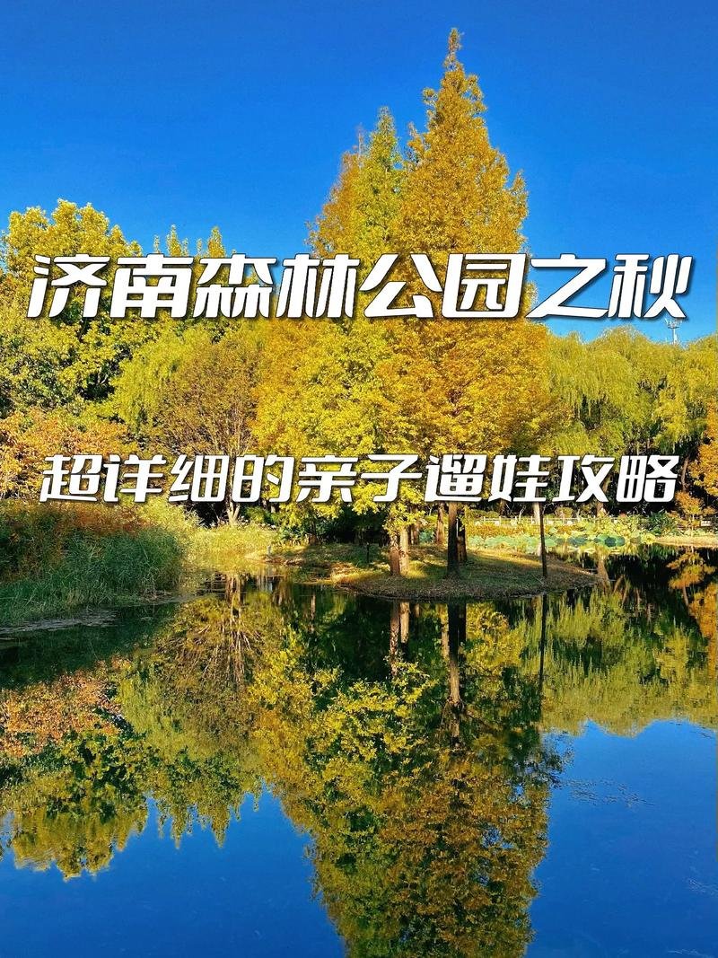 ⛰️济南森林公园｜近郊森林氧吧✨林间静心轻徒步