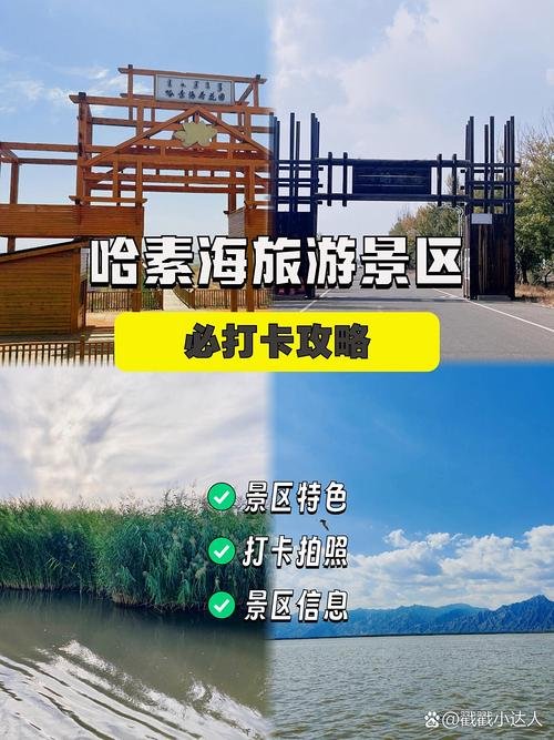 🌊哈素海・塞外西湖✨黄河湖泊 + 湿地风光