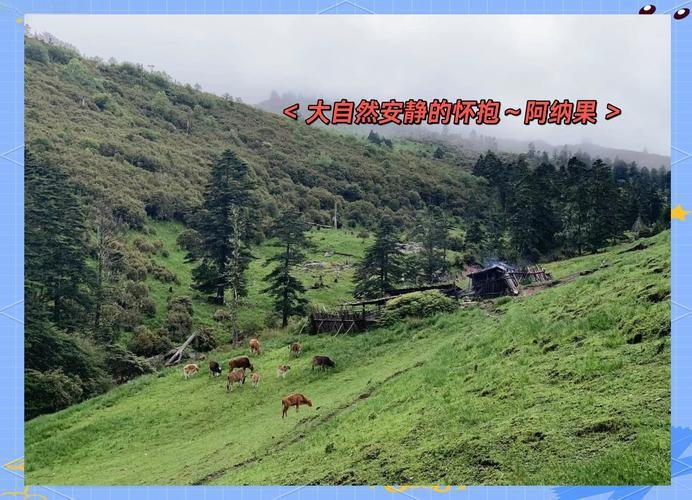 🐴阿纳果徒步线｜新晋网红轻徒步｜高山草甸云海秘境☁️
