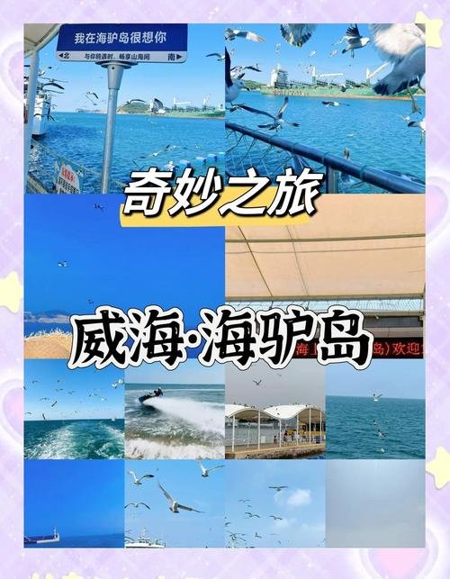 🌊海驴岛｜鸥鹭王国✨万鸥齐飞 + 海上石林
