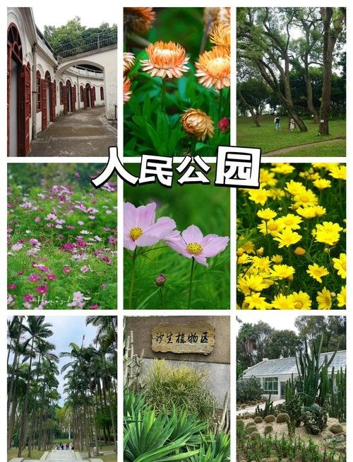 🌳淄博人民公园｜城市森林公园✨免费休闲 + 四季美景