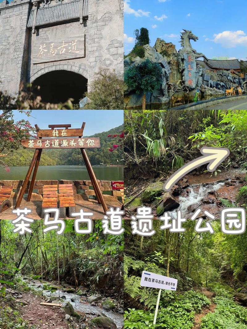 🌿普洱茶马古道遗址公园｜市区茶马秘境✨骑马 + 古道徒步超有趣