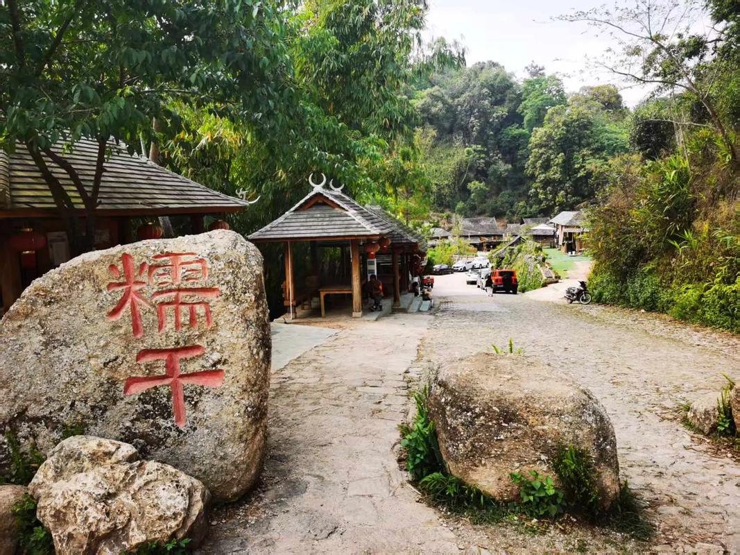 🏡景迈山糯干古寨稻田｜茶林稻田 + 田园风光✨治愈田园画卷