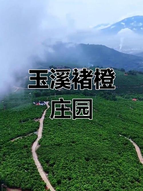 🌾褚橙庄园｜农耕文化体验 + 橙园采摘✨励志故事 + 田园治愈