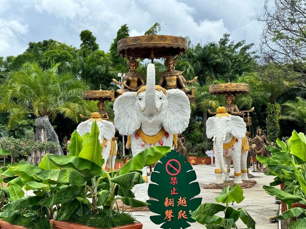 🌊普洱孟连南垒河｜跨境河流风光✨竹林 + 傣寨 + 日落绝美