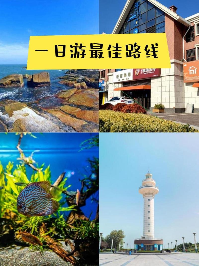 🌲日照海滨国家森林公园｜一半森林一半海✨金沙滩 + 森系骑行
