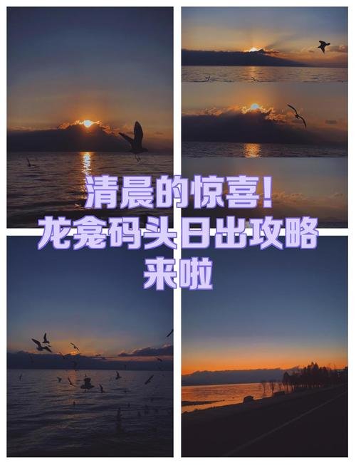 龙龛码头🌅洱海边原生态村落🌾龙龛日出封神｜芦苇湿地 + 白族民居氛围感绝了