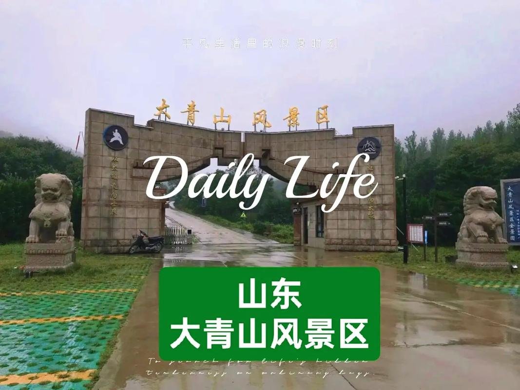 🌊大青山风景区｜户外康养胜地✨森林徒步 + 极限运动