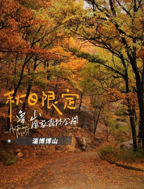 🌳鲁山国家森林公园｜山东第四高峰✨森林氧吧 + 飞瀑流泉