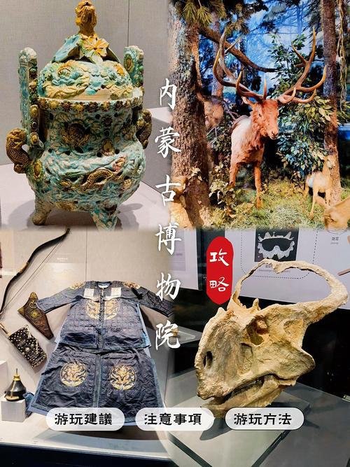 🏯内蒙古博物院・草原文明宝库✨镇馆之宝 + 千年文脉